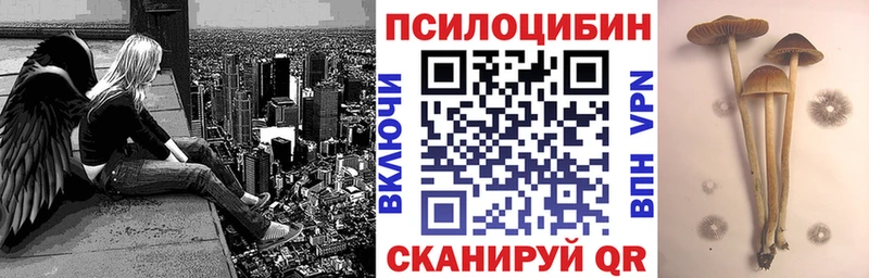 Галлюциногенные грибы Cubensis  Купить  Всеволожск 