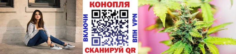 Купить где  Всеволожск  Канабис семена 